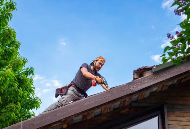 Best Asphalt Shingle Roofing  in Oak Harbor, OH