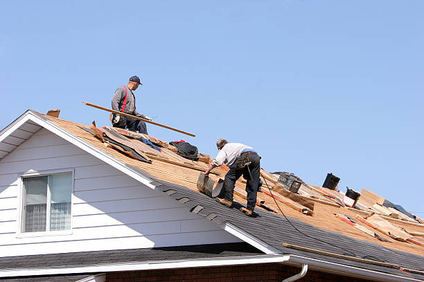Best Roof Maintenance and Cleaning  in Oak Harbor, OH